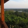 finnek 2011 029